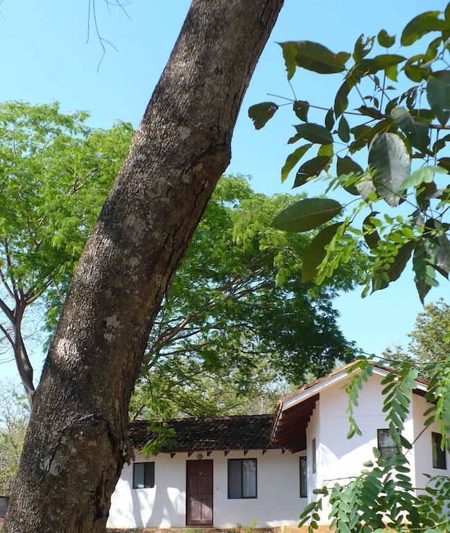 Finca Buena Fuente Residence Hotel Nicoya Eksteriør bilde