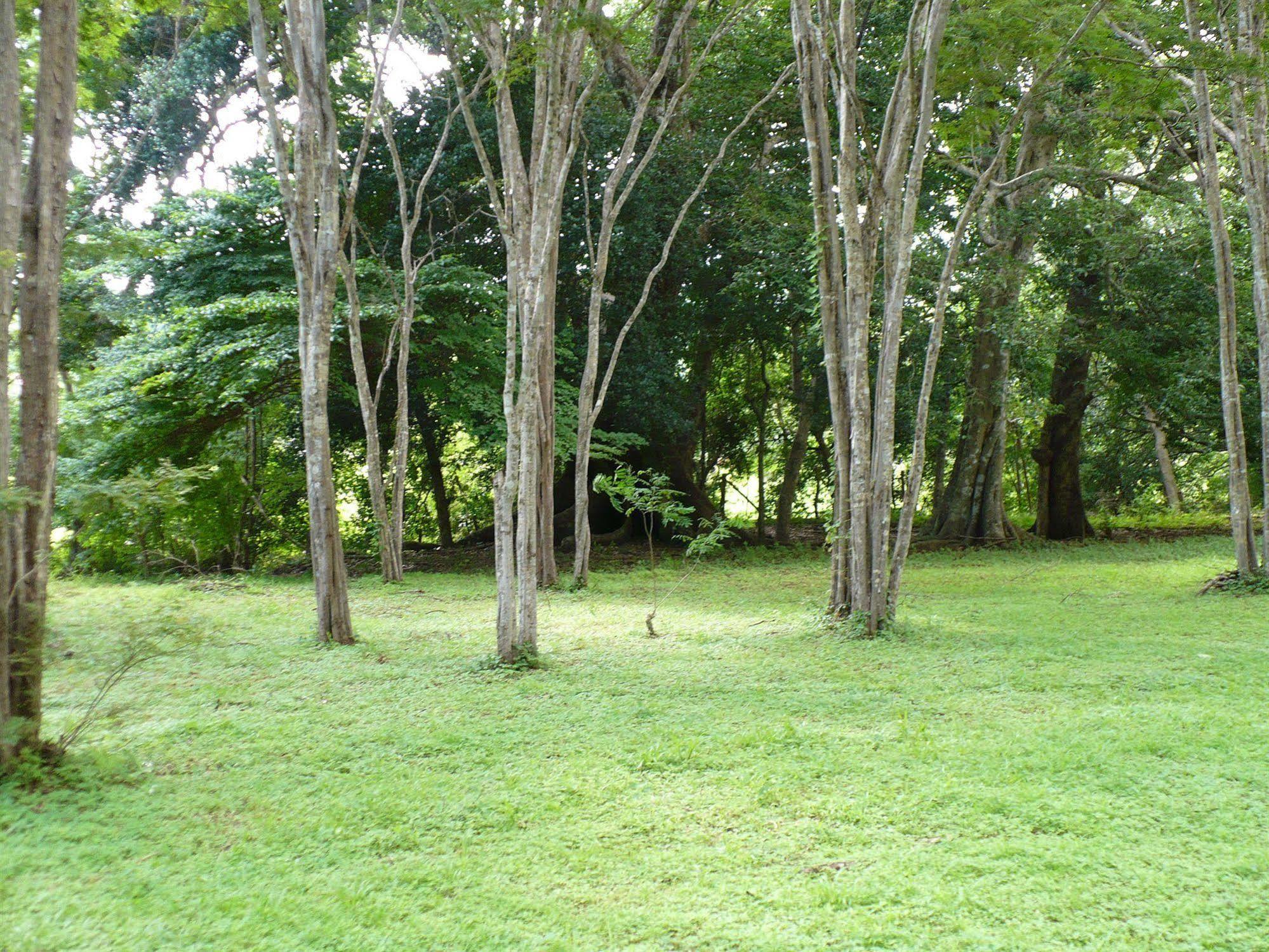 Finca Buena Fuente Residence Hotel Nicoya Eksteriør bilde