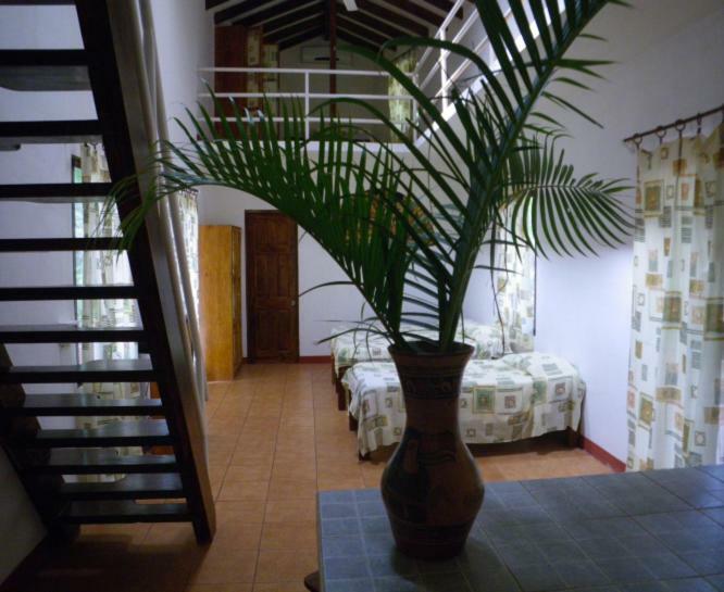 Finca Buena Fuente Residence Hotel Nicoya Eksteriør bilde